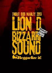 poze tribut bob marley in setup