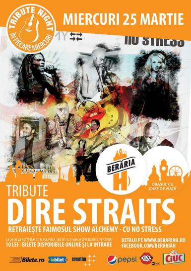 poze tribute night dire straits