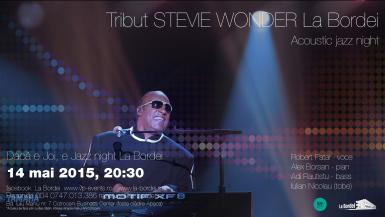 poze tribute stevie wonder