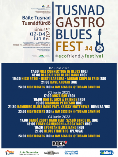 poze tu nad gastro blues fest