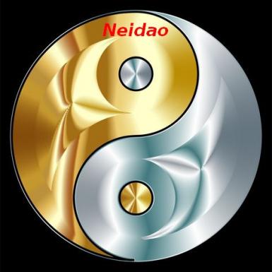 poze curs de initiere in taijiquan tai chi chuan