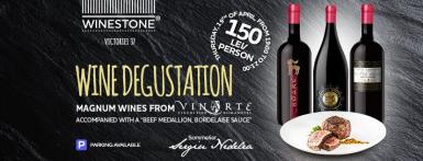 poze vinarte magnum wine degustation