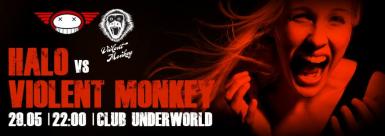poze violent monkey in club underworld