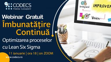 poze webinar lean six sigma