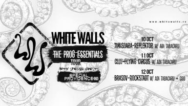 poze white walls special providence adi tabacaru