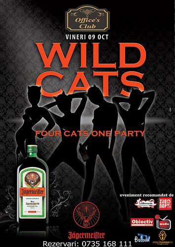 poze wild cats