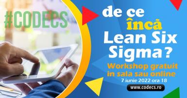 poze workshop gratuit lean six sigma