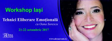 poze workshop iasi tehnici eliberare emotionala cu oana sorescu