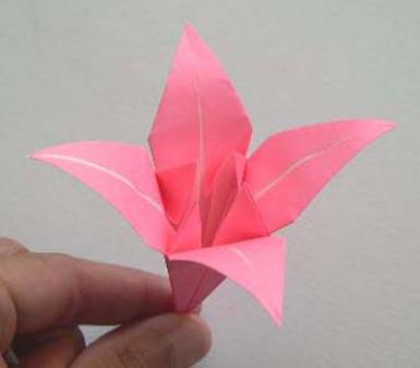 poze workshop origami
