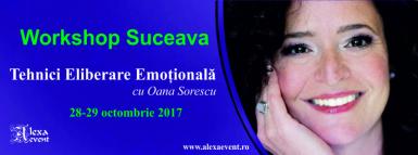 poze workshop suceava tehnici eliberare emotionala cu oana sorescu