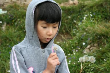 poze workshop taiyin pentru fetite primul pas in cultivarea naturaletii fetitei