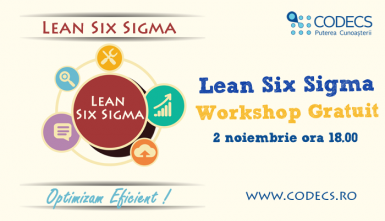 poze workshopul gratuit lean six sigma methodology