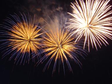 poze zilele orasului toplita 2013