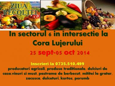 poze zilele recoltei intersectia cora lujerului 25 09 05 10