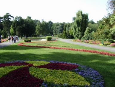 poze ziua gradinii botanice timisoara