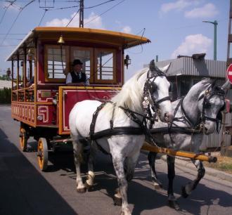 poze ziua transportatorului public oradea