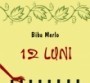  12 luni 2010 biba merlo