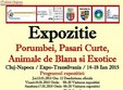 expozitie de animale mici la cluj
