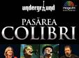 pasarea colibri underground