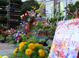 a 28 a editii a expo flora maramures