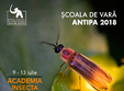 academia insecta