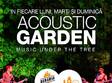 acoustic garden music under the tree