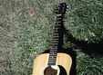 acustic live music camp