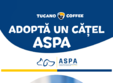 poze adopta un ca el aspa targ de adop ie 