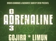 adrenaline od 3 in kulturhaus