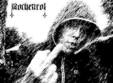 aducem rochenrol la rock n ia i open air