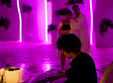alexandru burca la therme bucure ti