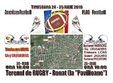 american football la timisoara