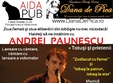 andrei paunescu totusi