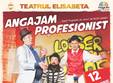 angajam profesionist