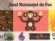 anul maimutei de foc seminar