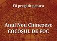  anul nou chinezesc cocosul de foc 