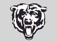 arena ursilor 2011