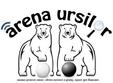 arena ursilor brasov 