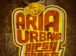 aria urbana la brasov