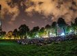 arini fest cinema 2019