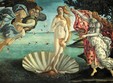 arta renasterii italiene botticelli leonardo da vinci michelan