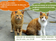 atelier de branding identitatea afacerii tale 24 27 iulie 