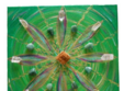 atelier de pictura cu crystal energy grid