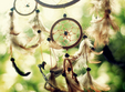 atelier dreamcatcher