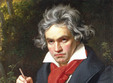 auditie ludwig van beethoven la baia mare