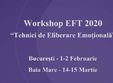 baia mare workshop tehnici de eliberare emotionala eft