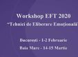 baia mare workshop tehnici de eliberare emotionala eft 