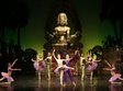  baiadera la opera nationala bucuresti