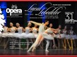 balet lacul lebedelor swan lake cluj