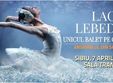 baletul pe gheata sibiu lacul lebedelor